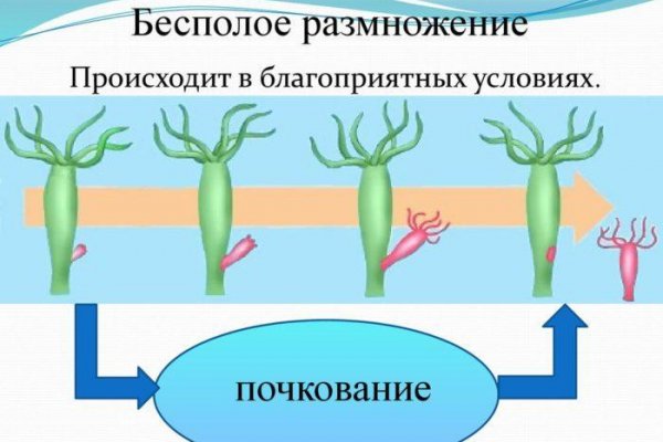 Как восстановить аккаунт кракен
