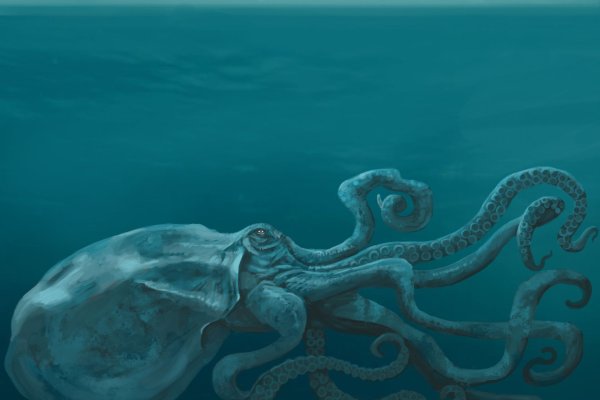 Kraken даркнет маркет