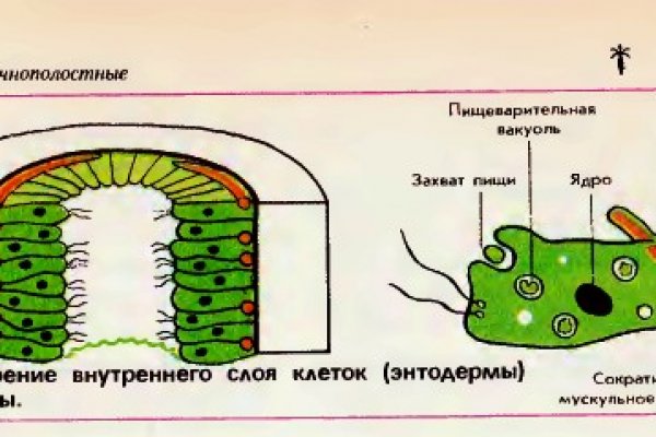 Кракен лучший маркетплейс